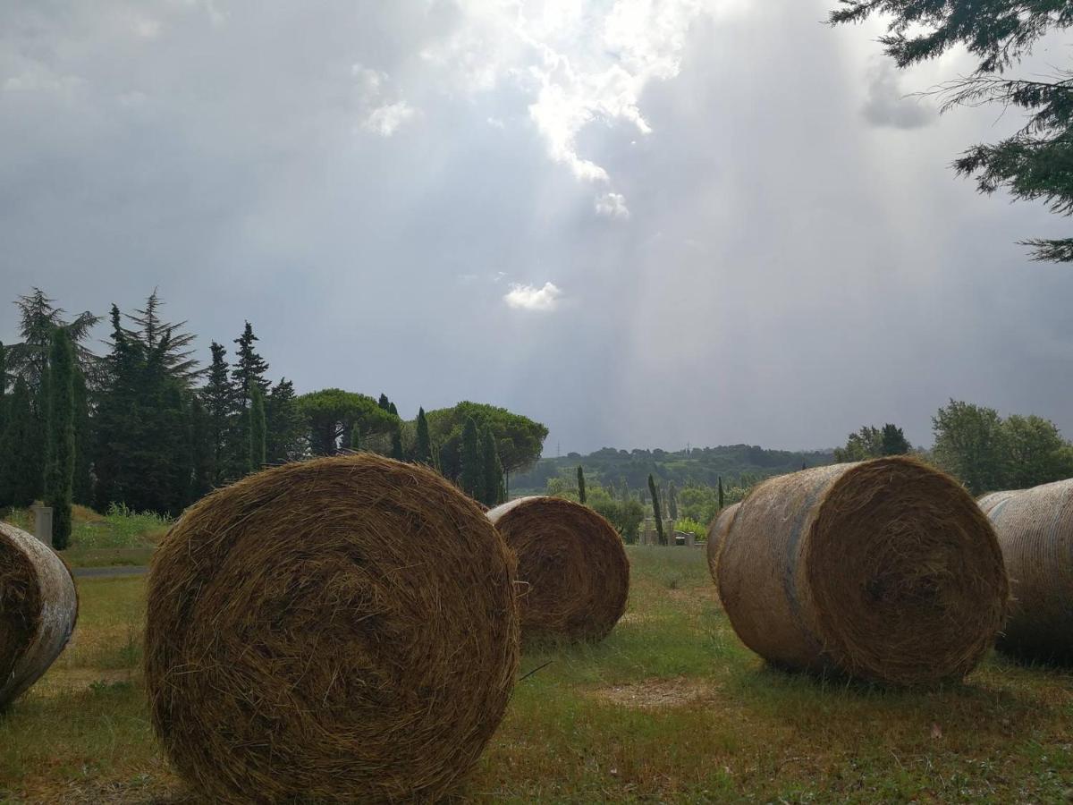 Masseria Le Querciole Fauglia Экстерьер фото
