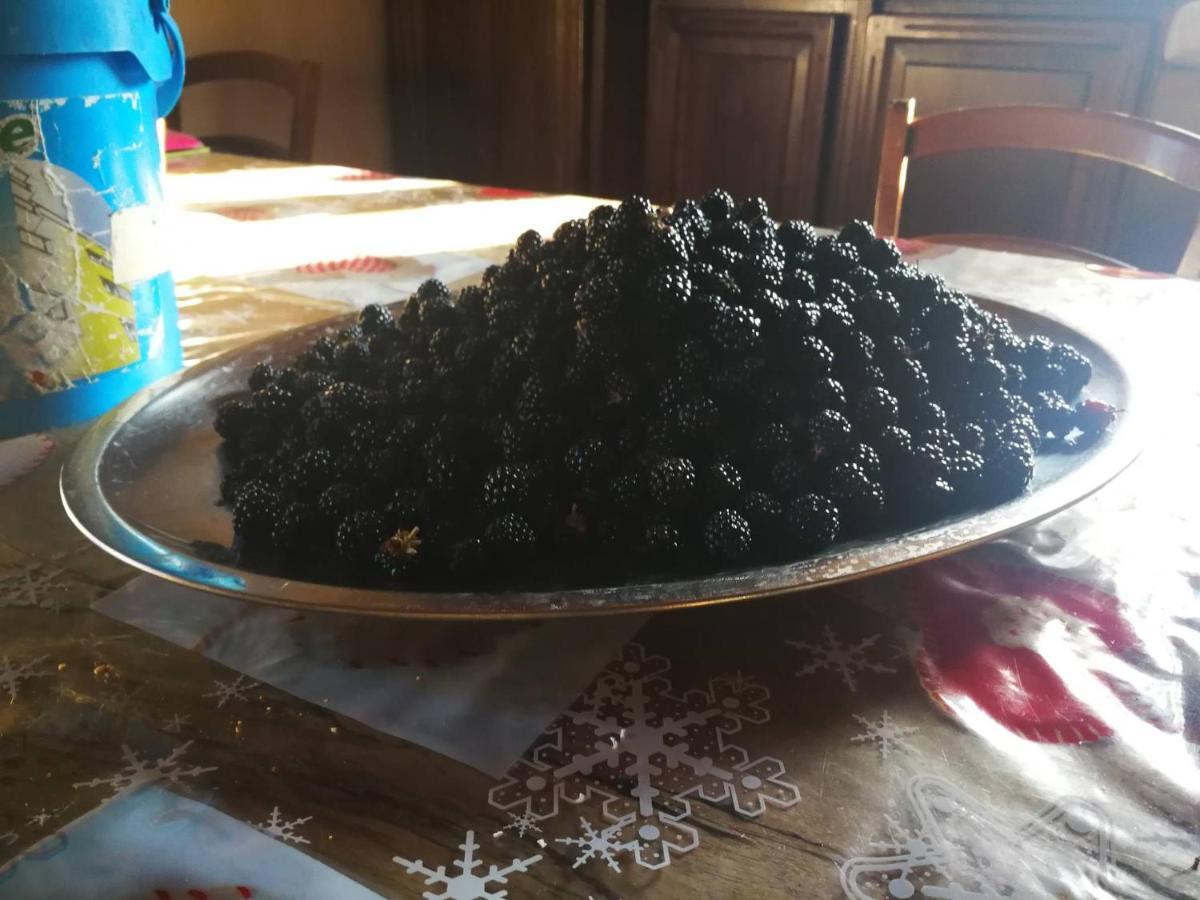 Masseria Le Querciole Fauglia Экстерьер фото