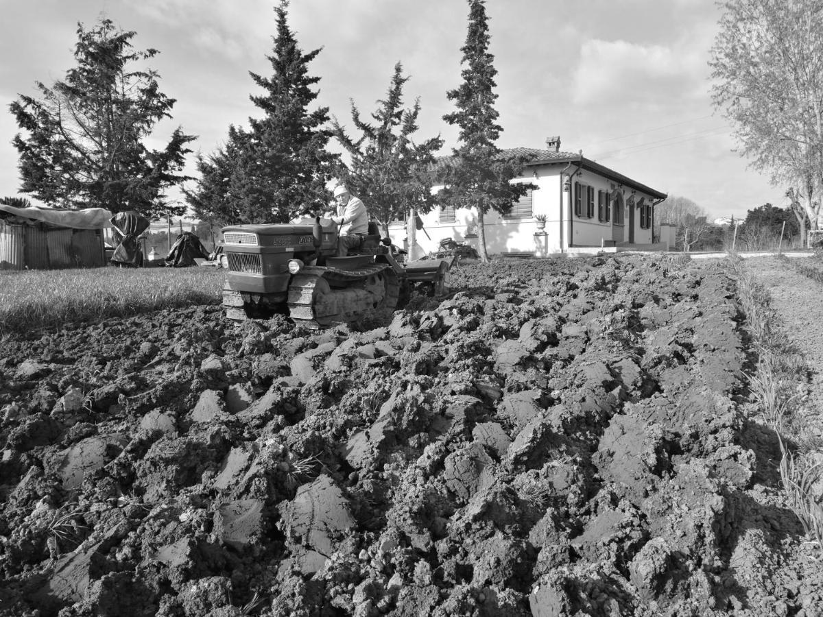 Masseria Le Querciole Fauglia Экстерьер фото