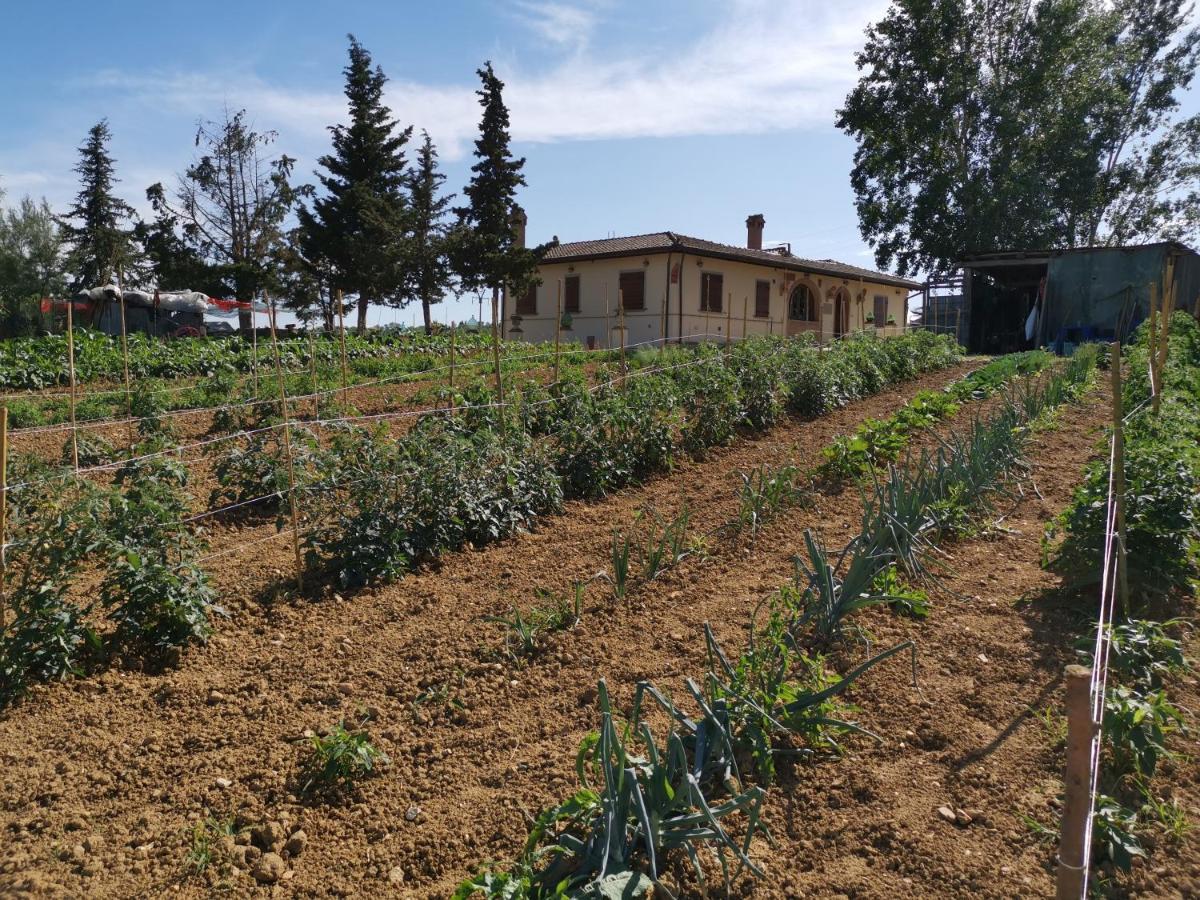 Masseria Le Querciole Fauglia Экстерьер фото